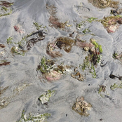 Voyeurism / Monolith