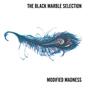 Modified Madness - Single