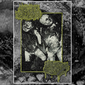 Swallow Mucus Diarrhea split w/ Human Stench Rests In The Morgue