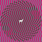 Deerhunter: Cryptograms