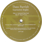 Command Your Soul by Theo Parrish