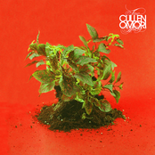 Cullen Omori: New Misery