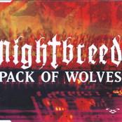Pack of Wolves Remixes RAMM52