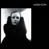 Moss Icon
