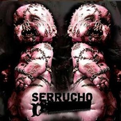 serrucho