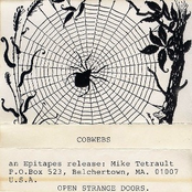 Cobwebs