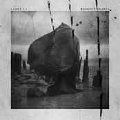 Sadness Is A Blessing by Lykke Li