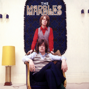 Stay With Me Baby by The Marbles