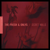 Secret Walls by The Fresh & Onlys