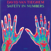 Night Of The Cold Noses by David Van Tieghem