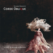 A Hail Of Bitter Almonds by Corde Oblique