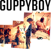 guppyboy