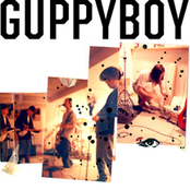 Guppyboy