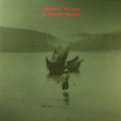 Unmasked by Robert Wyatt