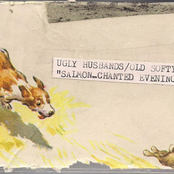 Salmon-Chanted Evening