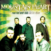 Mountain Heart: Road That Never Ends: The Live Album