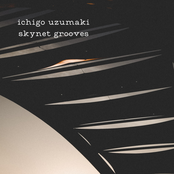 skynet grooves