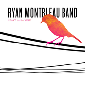 Ryan Montbleau Band: Heavy on the Vine