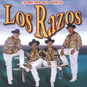 los razos