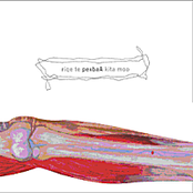 riqe te pexbaA kita moo