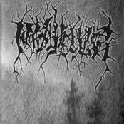 Волчьи Чертоги