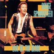 Roll Of The Dice by Bruce Springsteen