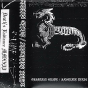 Obsidian Grave / Sanguine Relic