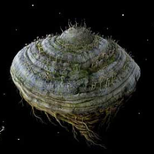 Samorost 2