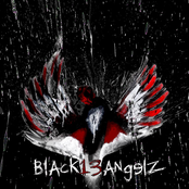 Black13angelz