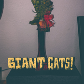 Giant Cats! - EP