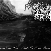 Wounds Can Heal... But The Scars Remain