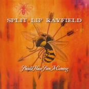 Split Lip Rayfield: Should Have Seen It Coming