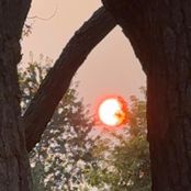 All that went wrong (demo)