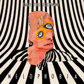 Telescope by Cage The Elephant