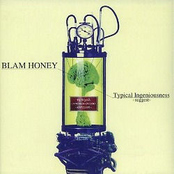 Suspect by Blam Honey