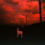 Darkness on the Edge of the Parking Lot