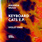 Keyboard Cats