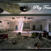 Where the trees would talk