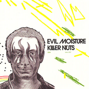 Its All Wrong by Evil Moisture