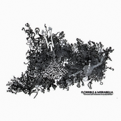 Someone spilt Snakebite on my Espadrille