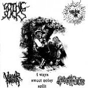 4 Ways Sweet Noisy Split