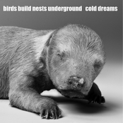 Cold Dreams