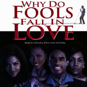 Why Do Fools Fall in Love