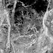 Forest of the Damned - EP