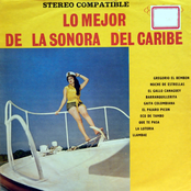 la sonora del caribe