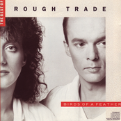 Insatiable by Rough Trade