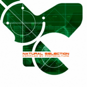 Natural Selection