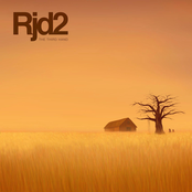 Laws Of The Gods by Rjd2