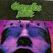 Beyond The Mind's Eye