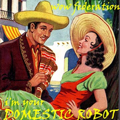 I'm Your Domestic Robot